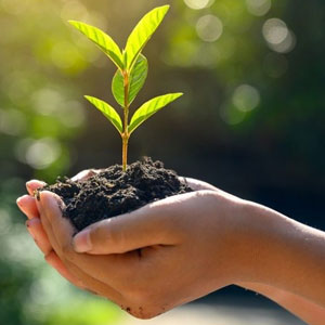 commitment to sustainabiliy